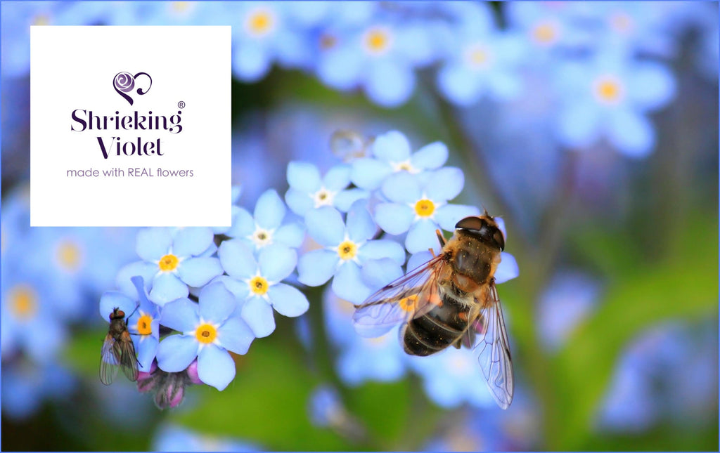 Forget-me-not ring by  Shrieking Violet® Sterling silver adjustable size ring with forget me not flowers. Ideal gift for mothers day, mums birthday